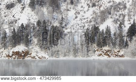 Landscape Of Silver Smooth Surface Of The River And Winter Forest On Riverbank. Pine Trees On A Snow