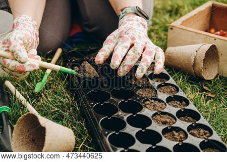 A Woman Prepares The Ground For Planting Seeds In Cells In The Spring. Close-up Hands Are Running Wi