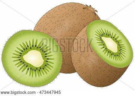 Vector Illustration Of A Kiwi With Skin And Hair, A Sliced Kiwi Half And A Kiwi Slice