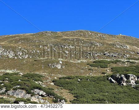 Autumn Alpine Pastures On The High Mountain Tops In The Albula Alps And Above The Swiss Mountain Roa