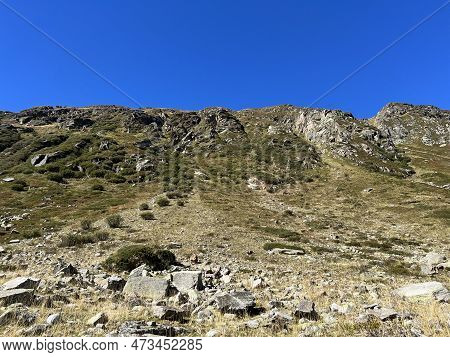 Autumn Alpine Pastures On The High Mountain Tops In The Albula Alps And Above The Swiss Mountain Roa
