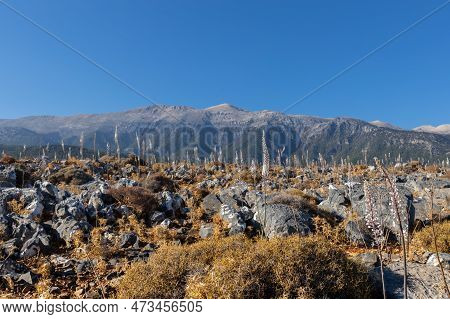 Landscape With Mountain Views And Wild Plants On A Scanty Stone Field, Greece, Crete