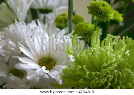 Daisy_bouquet