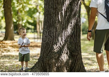 Family Camping In Nature. A Boy Gathers Twigs For A Fire In The Woods While His Dad Is Waiting For H
