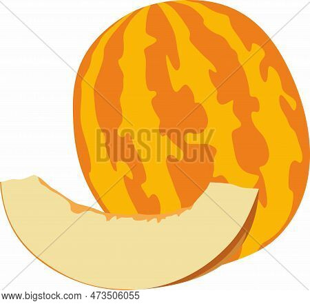 Vector Drawing Of A Melon With A Cut Wedge. A Piece Of Large Yellow Striped Berry. Summer Yummy Juic