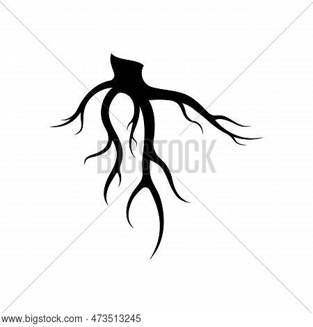 Single And Fibrous Tree Root Natural Abstract Logo Creative Template Design.