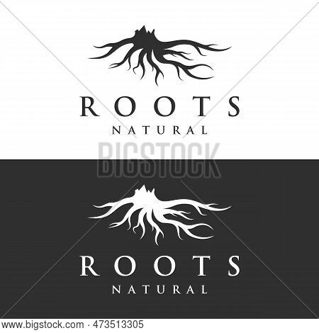 Single And Fibrous Tree Root Natural Abstract Logo Creative Template Design.