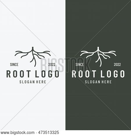 Single And Fibrous Tree Root Natural Abstract Logo Creative Template Design.