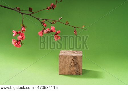 Composition Empty Podium Material Tree And Spring Flowers. Empty Background Composition For Cosmetic