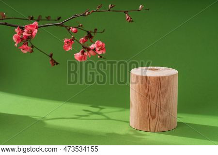Composition Empty Podium Material Tree And Spring Flowers. Empty Background Composition For Cosmetic