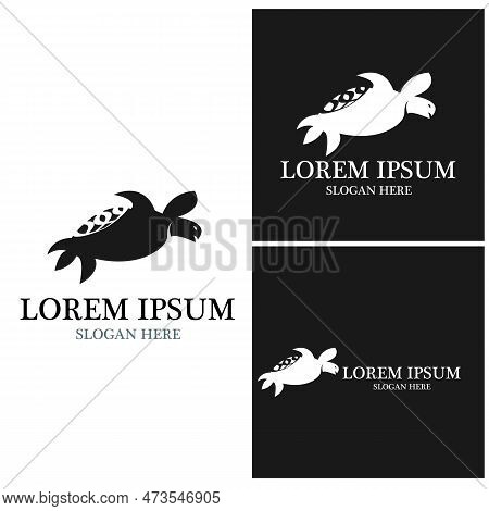 Turtle Animal Cartoon Icon