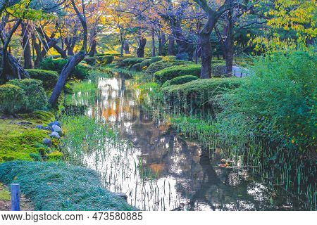 A Kasumiga Ike Pond Kenrokuen Kana Zawa 1 Nov 2013