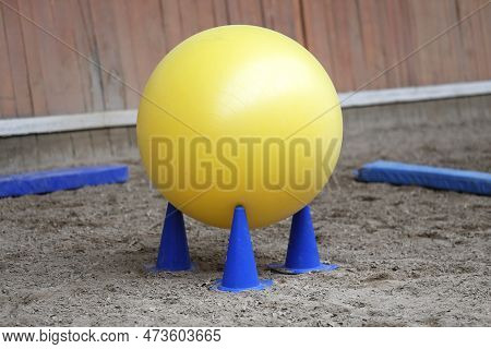 Plastic Physioball On The Sand During Training For Beginner Riders And Horses At Riding School Indoo