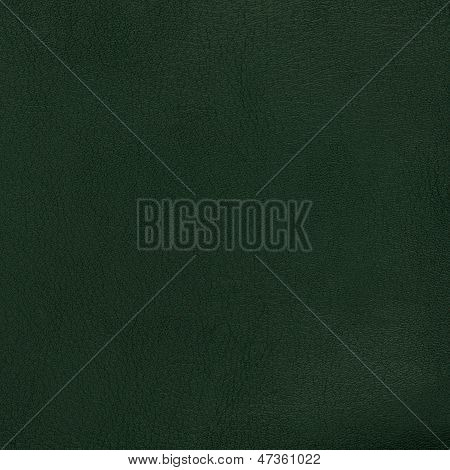 Grönt läder textur närbild