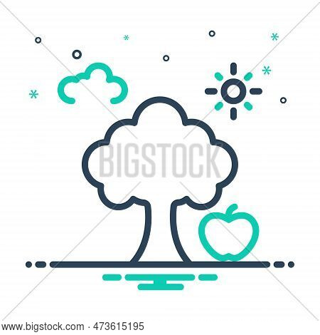 Mix Icon For Genesis Origin Origination Provenance Plant Sunlight Fruit Engendering Inception