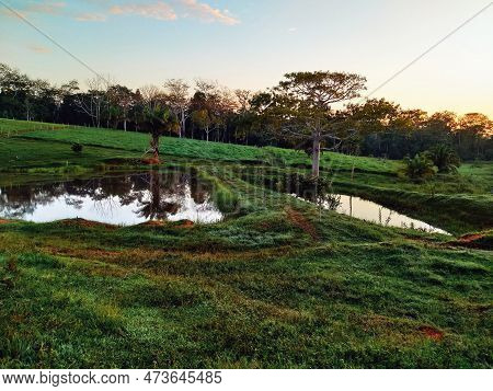 Fish Pond Or Dam For Fishing With Green Pasture And Forest In The Interior Of The Amazon.