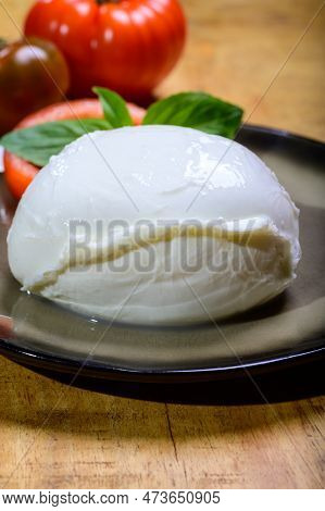 White Ball Of Italian Soft Cheese Mozzarella Di Bufala Campana Served With Fresh Green Basil And Red