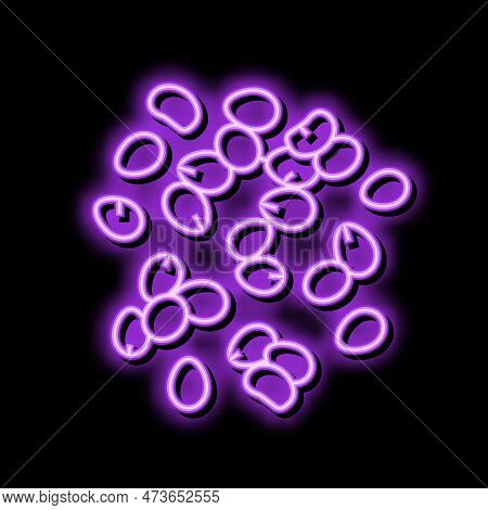 Sorghum Grain Food Neon Light Sign Vector. Sorghum Grain Food Sign. Isolated Symbol Illustration