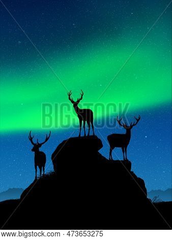 Deer Family On Rocks. Wild Animal Silhouettes. Green Aurora Borealis