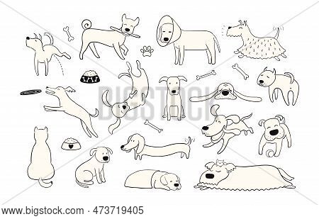 Cute Funny Dogs, Puppies Clipart Collection, Isolated. Hand Drawn Monochrome Vector Illustration. Li