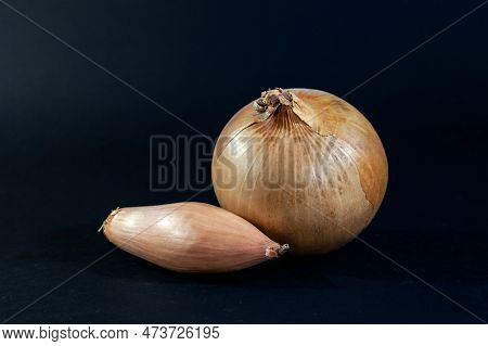 Picture Of A Shallot Bulb And A Yellow Onion Bulb Together On A Studio Shot. The Shallot Is A Botani