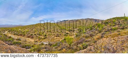 Panoramic View Of Santa Catalina Mountains At Saguaro National Park (east), Tucson Arizona.