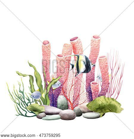 Underwater Composition With Coral Reef Plants And Fishes. Watercolor Illustration Isolated On White 