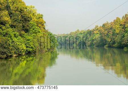 Picturesque And Scenic View Of Dense Sal Forest Reflection In Sharda Or Sarda River At Terai Arc Lan