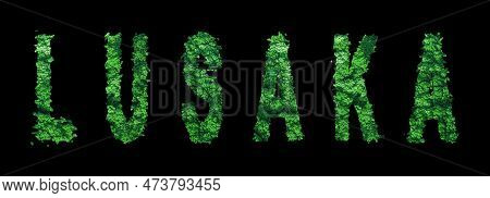 Lusaka Lettering, Lusaka Forest Ecology Concept On Black, Clipping Path