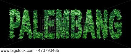 Palembang Lettering, Palembang Forest Ecology Concept On Black, Clipping Path
