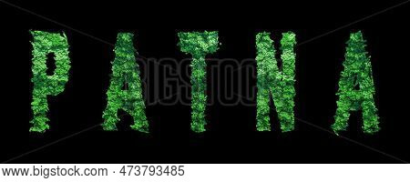 Patna Lettering, Patna Forest Ecology Concept On Black, Clipping Path
