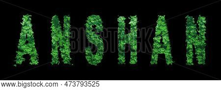 Anshan Lettering, Anshan Forest Ecology Concept On Black, Clipping Path