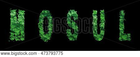 Mosul Lettering, Mosul Forest Ecology Concept On Black, Clipping Path