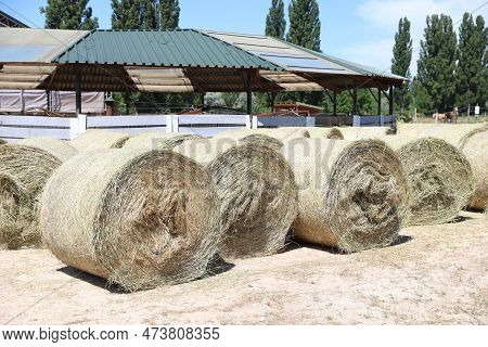 Bale Of Strawrolls. Stacked Straw Bales In An Animal Farm. Farmyard Storage Concept. Lots Of Hay. Ho