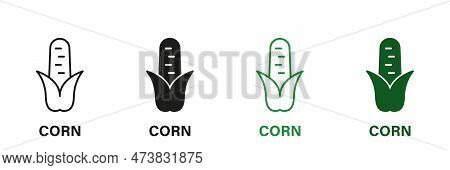 Corn Line And Silhouette Icon Set. Maize Grain Green And Black Pictogram. Corncob Plant, Sweetcorn S