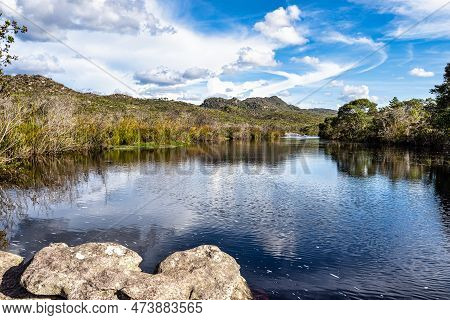 View Of The Sempre Viva Park At Mucuge In Chapada Diamantina, Bahia, Brazil. Home Of The Everlasting