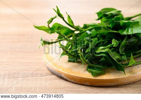 Gymnema Inodorum Leaf, Herbal Medicine Plant For Diabetes Treatment, Function Is Control Sugar Level