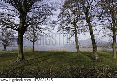 The Lake Of Annone At Oggiono, Lecco Province, Lombardy, Italy, At Winter