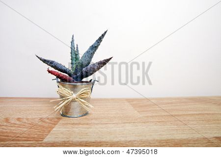 Un pequeño Cactus en una olla con un lazo alrededor de él