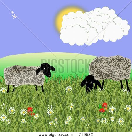 Mouton