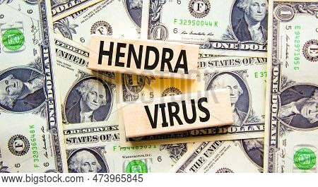 Hendra Virus Symbol. Concept Words Hendra Virus On Wooden Block. Beautiful Background From Dollar Bi