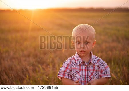 Close Up Portrait Of Little Boy In Plaid Shirt. Todder With Emotions Eats Spikelet Of Wheat
