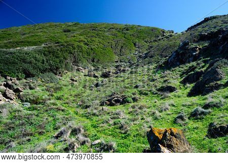 The Inland Of The Coast Betwen Ischai Ruja And Foghe Towers