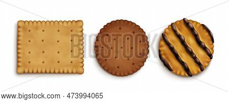 Realistic Set Of Crispy Cracker Cookies Isolated On White Background. Vector Illustration Of Salty, 