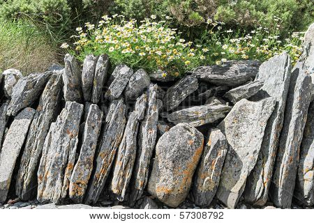 Spring Flowers On Old Stone Wall