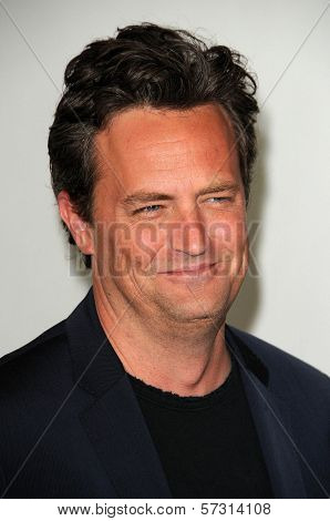 Matthew Perry at the Disney ABC Television Group Summer 2010 Press Tour - Evening, Beverly Hilton Hotel, Beverly Hills, CA. 08-01-10