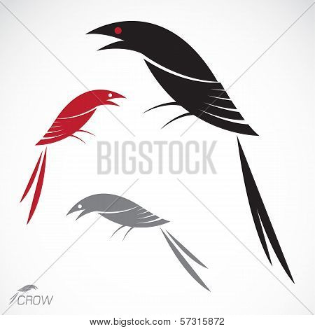 Vector Image Of An Crow