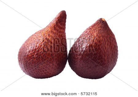 Zalacca palm