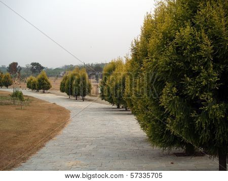 awesome natural road