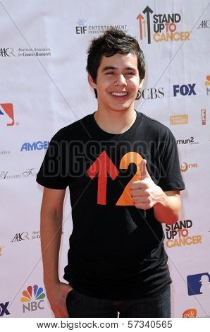 David Archuleta at the 2010 Stand Up To Cancer, Sony Studios, Culver City, CA. 09-10-10